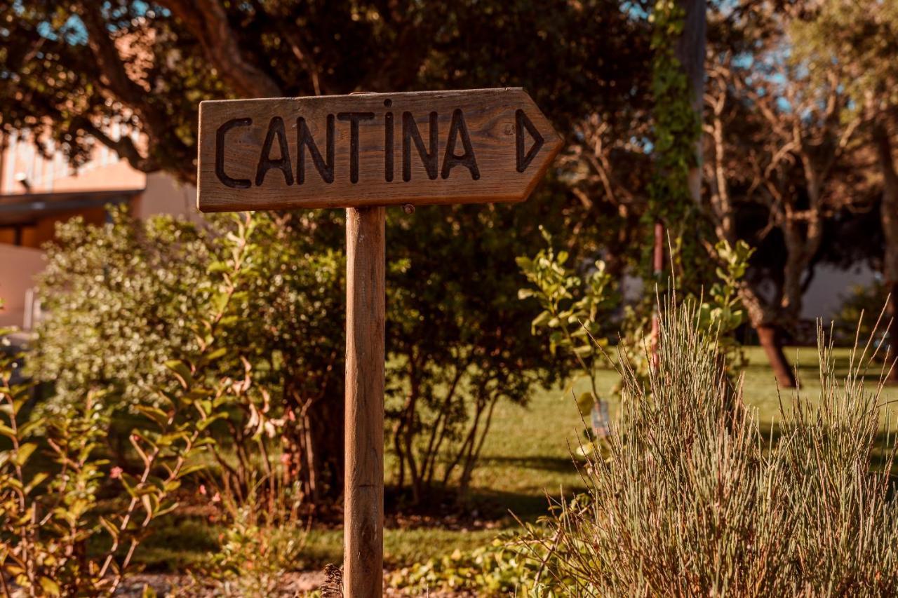 Вилла La Vinia Bed&Wine Experience - Adults Only Сассари Экстерьер фото